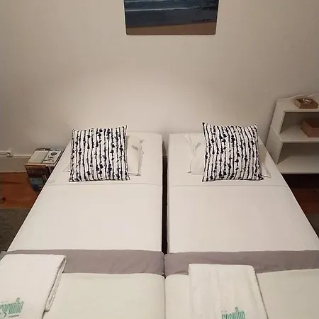 Apartment Espinho - Garden House *