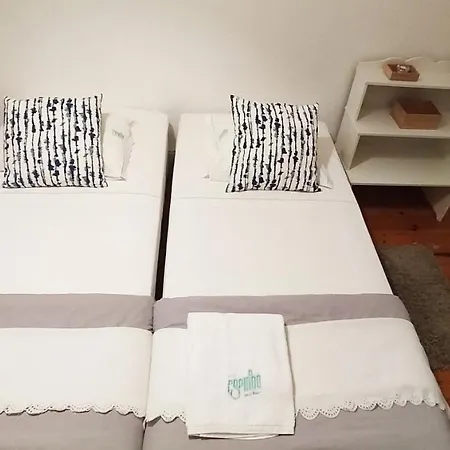 Espinho - Garden House Apartment